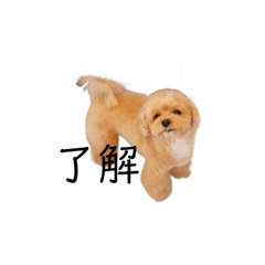 Raifam_20220220224715