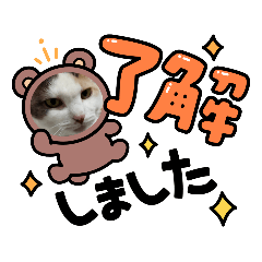 Ayumi_20220220180528