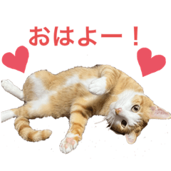 rina....
