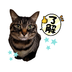 Ayumi_20220220171050