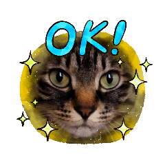 Ayumi_20220220173918