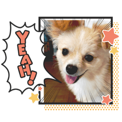 CHISA_20220221133305