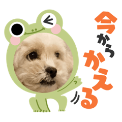 himawari_20220220163236