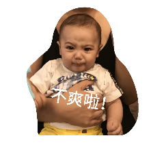 Giulio Stickers