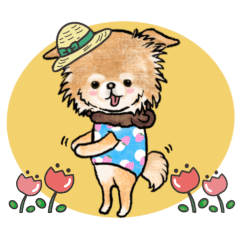 Chihuahua Fuku-chan illustration sticker
