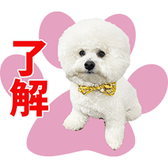 CHIKONOKAWAII Sticker