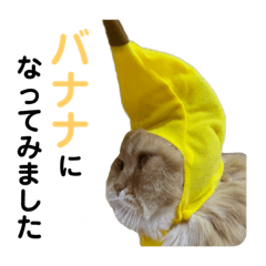 モフモフ猫のバナナスタンプ