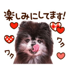 YUKA_20220221162850