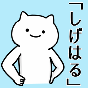 Cat Sticker For SHIGEHARU-CYANN