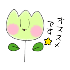 Alice_20220221184411