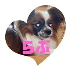 Rina_20220221192853