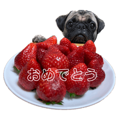 akiko_20220221224609