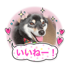 kuu_20220222101133