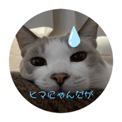 CHAN_20220222012723