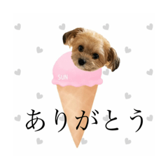 nozomi_20220222002134