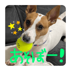 mikihide