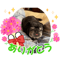 purin_20220221231852