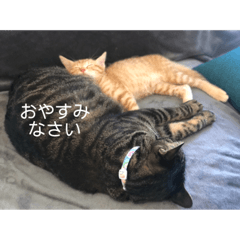 daichi_20220221221949