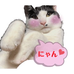 夏目くん。その1