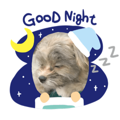 nanami_20220221204049