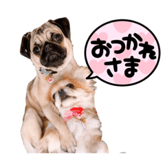 chie_20220222001425