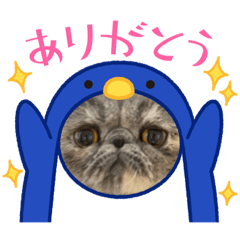 ponzu_20220222025631