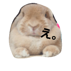 chan05
