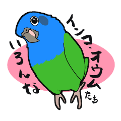 Iroiro parrot