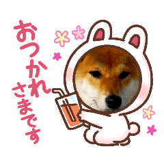 shibainumomijimom_20220221211144