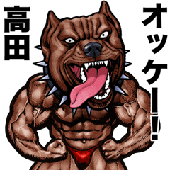 Takada dedicated Muscle macho animal