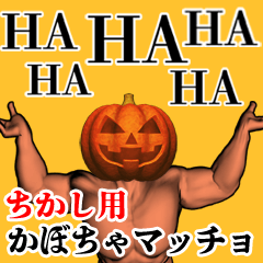 Chikashi Pumpkin macho