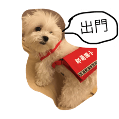 蔡娃娃