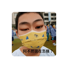 許朋朋的梗圖