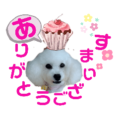 kii_20220222132149