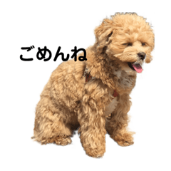 Raifam_20220222145729