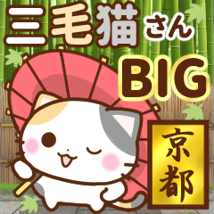 京都の三毛猫さん 【BIGスタンプ】