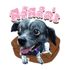 Iamnook_20220222032645