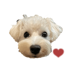 ayumi_20220222192859