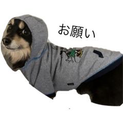 MIZUKI_20220222200740