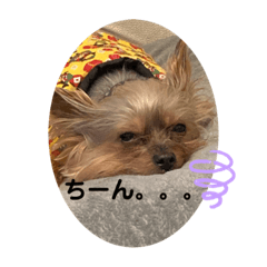 mizuki_20220222205240