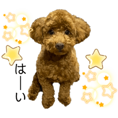 rina_20220222212459