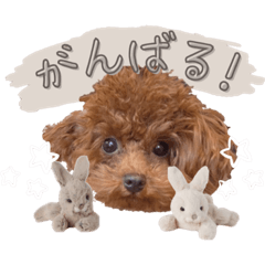 hana_20220222220421
