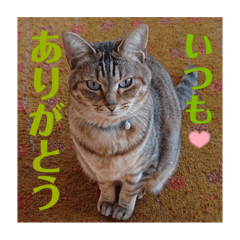 orange_20220223092942