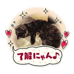 suzu_20220222142858
