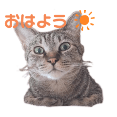eririn_20220222150204