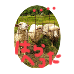 pick up flowers garden