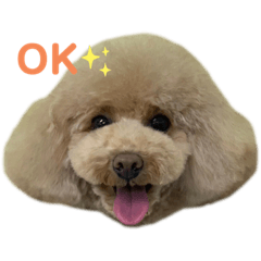 Yuka_20220223015718