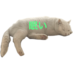 Kero_20220222191030