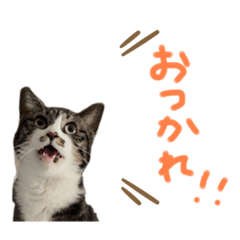 ai_20220222193147