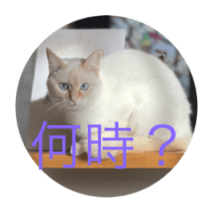 suzu_20220223110243